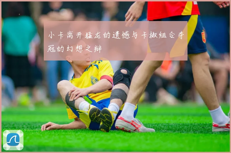 小卡离开猛龙的遗憾与卡椒组合夺冠的幻想之辩